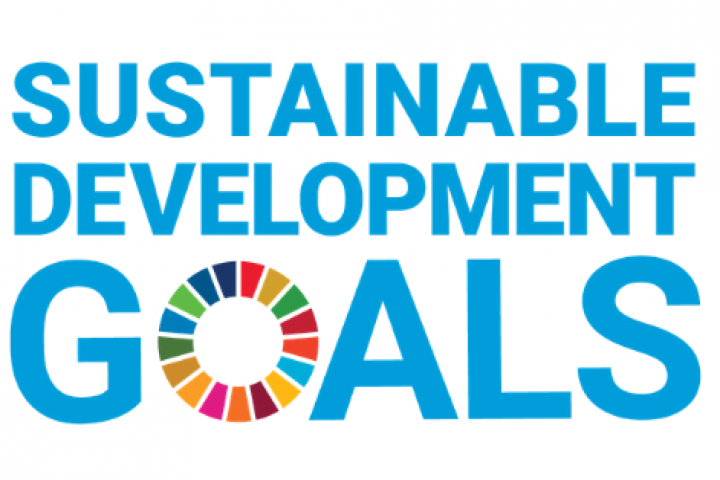 Logo Netwerk Duurzame Mobiliteit en Sustainable Development Goals