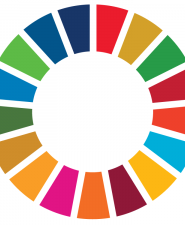 SDG color wheel